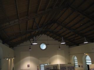 Img.2  M. Pino Silvestre.jpg